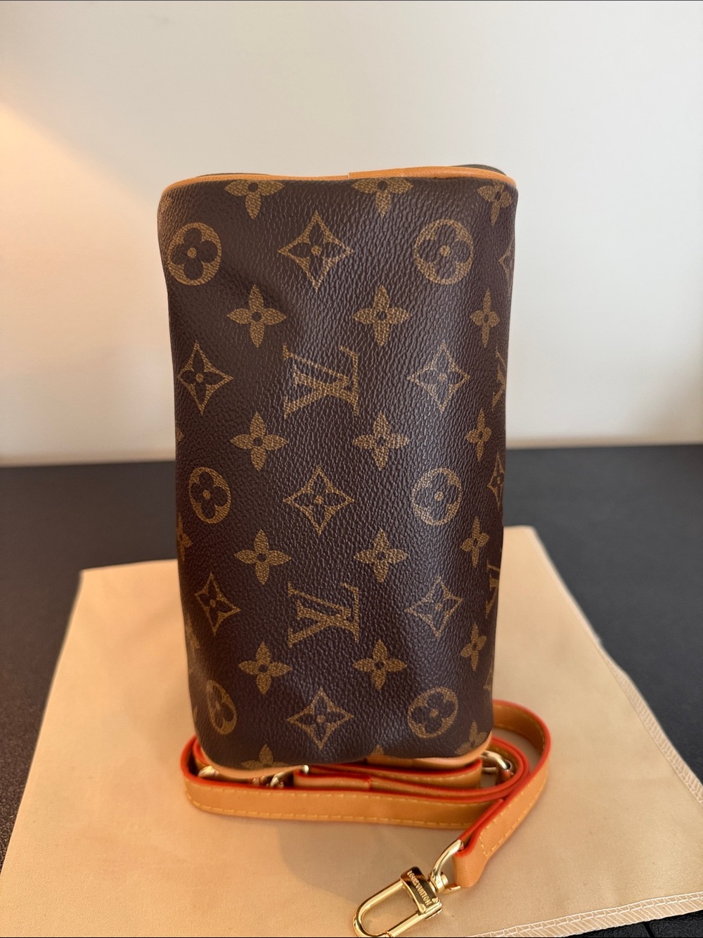 Monogram Mini (nano) Handbag (16cm) with strap - Picture 5 of 8